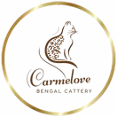 Logo Carmelove*PL